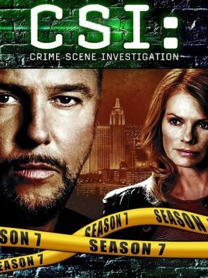 CSI: Đội Điều Tra Hiện Trường (Mùa 7)